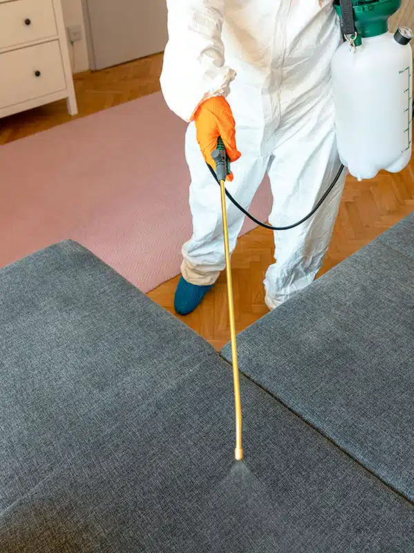 Decontamination Services in Altamonte Springs